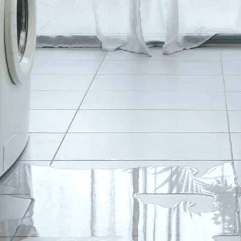 Appliance Leak Cleanup in Norton, MA