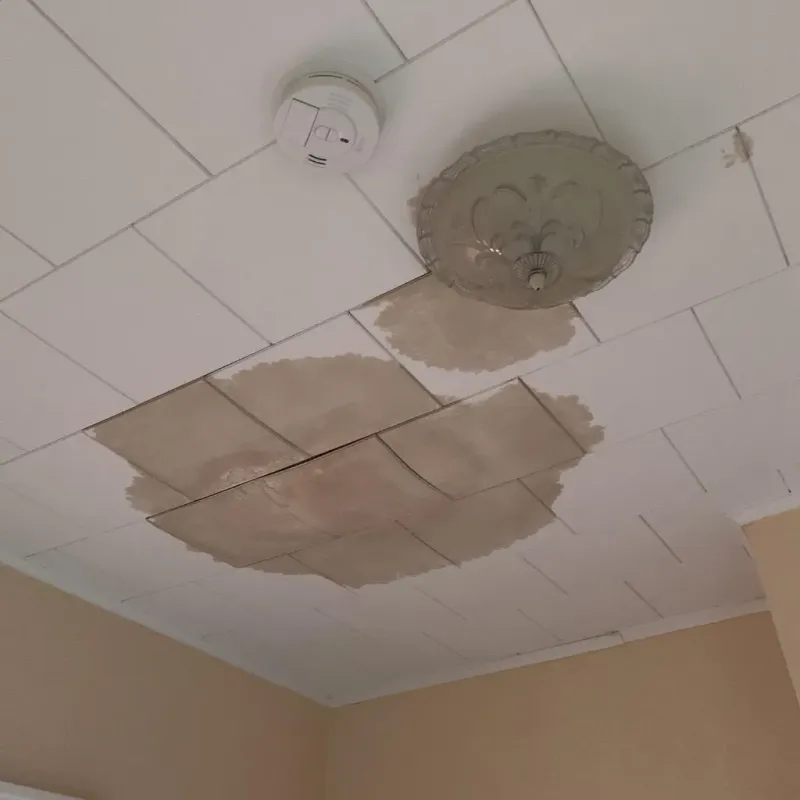 Ceiling Water Damage Repair in Norton, MA