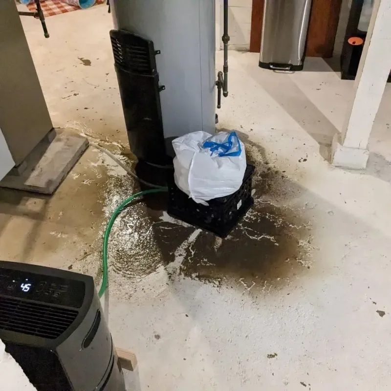 Sewage Backup Cleanup Service in Norton, MA